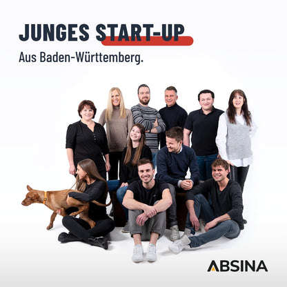 ABSINA Batterieladegerät 3,8 A für 6V/12V Blei- & 12,8V Lithium-Akkus