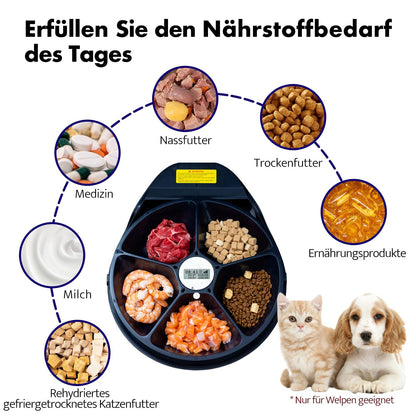 UBPET F10 Futterautomat Katze Nassfutter Kühlung 5 Mahlzeiten
