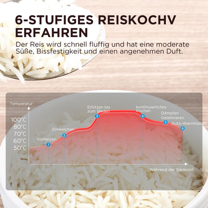 Midea Reiskocher Multifunktionsgerät - 5L Schwarz-Silber