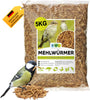 EWL Naturprodukte Mehlwürmer getrocknet Insektensnack 5kg: Braune, längliche Larven. Als proteinreiches Ergänzungsfutter für Vögel und Reptilien.