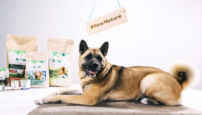 RAW Nature Kaltgepresstes Hundefutter Adult Huhn 12kg