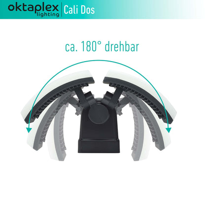 Oktaplex lighting Cali Dos 40W LED Aussenstrahler - Anthrazit Warmweiss