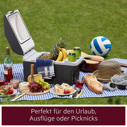 AEG Automotive Board-Bar BK 16 Kühl- & Warmhaltebox 16L, 12V