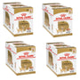 Royal Canin Chihuahua Adult Nassfutter - 4 x 12 x 85g Pack: Braune Stückchen in Soße als Alleinfuttermittel für ausgewachsene Chihuahuas.