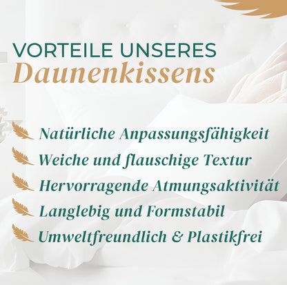 Made in Germany Daunen Federkissen 3-Kammer Kopfkissen - 40x80 cm