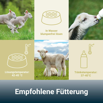 PANTO Lämmermilch Milchersatz für Schaf- und Ziegenlämmer, 10 kg