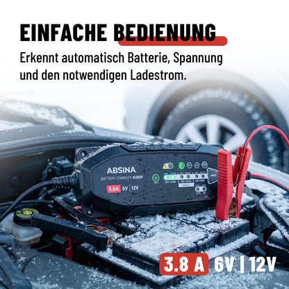 ABSINA Batterieladegerät 3,8 A für 6V/12V Blei- & 12,8V Lithium-Akkus