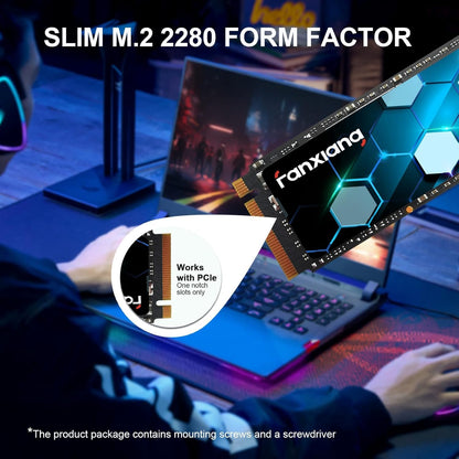 fanxiang S500Pro M.2 NVMe SSD 256GB PCIe 3.0 Interne Festplatte