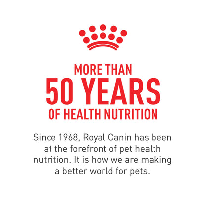 Royal Canin BREED HEALTH NUTRITION Maine Coon Trockenfutter - 6-Pound