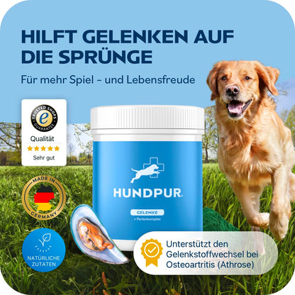 Hundpur Gelenke Ergänzungsfuttermittel für Hunde, 300 g Pellets