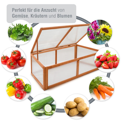 zooprinz Frühbeet HERBA Gewächshaus aus Holz und Polycarbonat