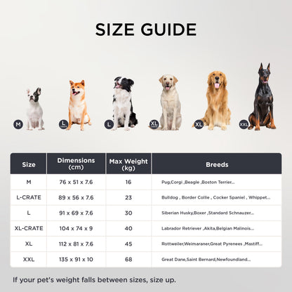 Bedsure Orthopädisches Hundebett für grosse Hunde, grau, 112 x 81 cm