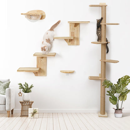 FUKUMARU Kratzbaum Deckenhoch Wandmontage – 206cm Gummibaumholz