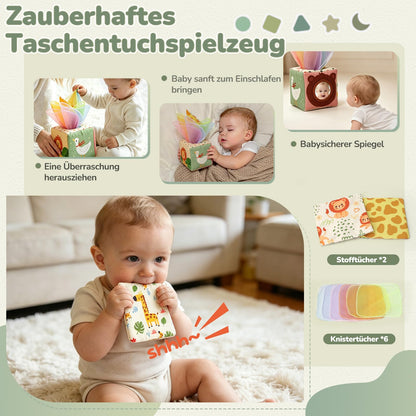 Auezona Montessori Spielzeug ab 6 Monaten, 5-in-1 Baby Lernspielzeug