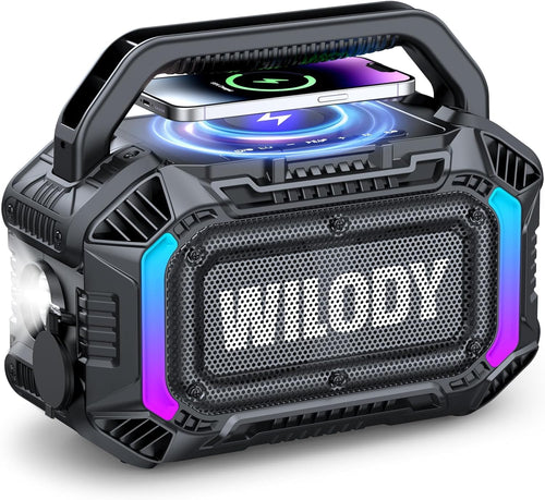 Wilody 100W Bluetooth Lautsprecher tragbar, IPX7 wasserdicht, Schwarz mit RGB-Licht und Taschenlampe