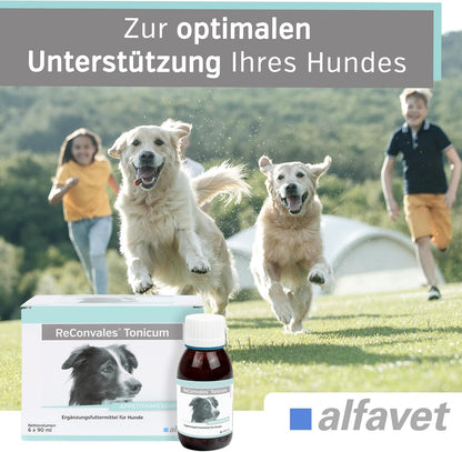 alfavet ReConvales Tonicum Hund - Doppelpack 2x6x90ml