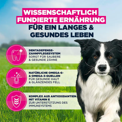 Eukanuba Trockenfutter mit frischem Huhn, mittelgrosse Rassen, 15 kg