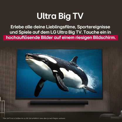 LG 55NANO80A6B 55 Zoll (139 cm) 4K NanoCell AI TV mit webOS 25
