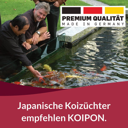 KOIPON Premium Störfutter 6 kg sinkend, Teichfutter Pellets 5-6 mm
