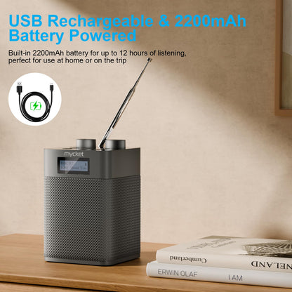 Mycket DAB/DAB+ Radio, tragbares UKW Digitalradio mit Bluetooth