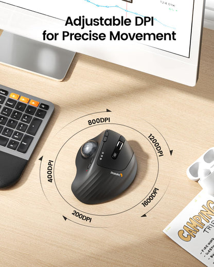 ProtoArc EM01 NL Trackball-Maus, kabellos, Bluetooth, 5 DPI, schwarz