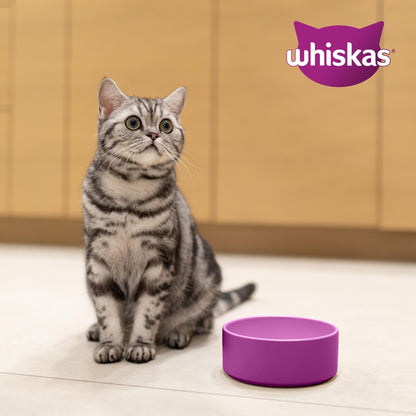WHISKAS Senior Katzentrockenfutter mit Huhn, 4 x 1,9 kg