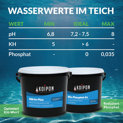 KOIPON Bio-Logik Milchsäurebakterien 5 l Teichpflege für Fischteich