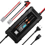 ECO-WORTHY 12V/24V 20A LiFePO4 Batterieladegerät Multi-Current, schwarzes Ladegerät. Lädt 12V/24V LiFePO4-Akkus mit variablen Strömen.