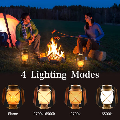 Hzitcigm LED Laterne Vintage 2er-Set, USB aufladbar, mit Fernbedienung