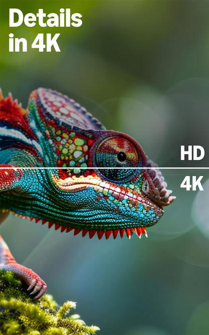 Amazon Ember 4-Serie 43 Zoll 4K Ultra HD Smart TV mit Fire TV