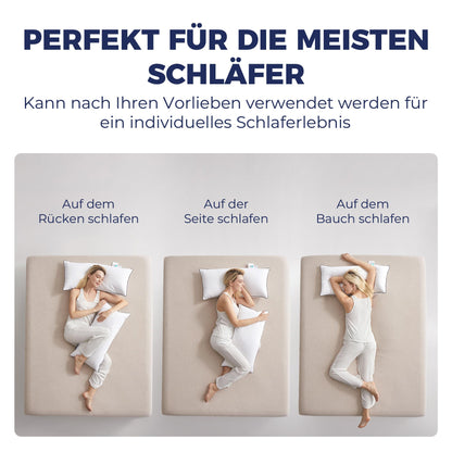 DOWNFOCUS Gänsefederkissen 80x80 cm, 2er-Set mit Baumwollbezug