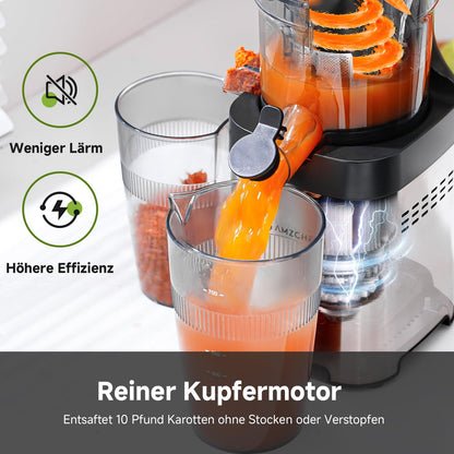 AMZCHEF Slow Juicer 1902M – Entsafter mit 120 mm Einfüllschacht