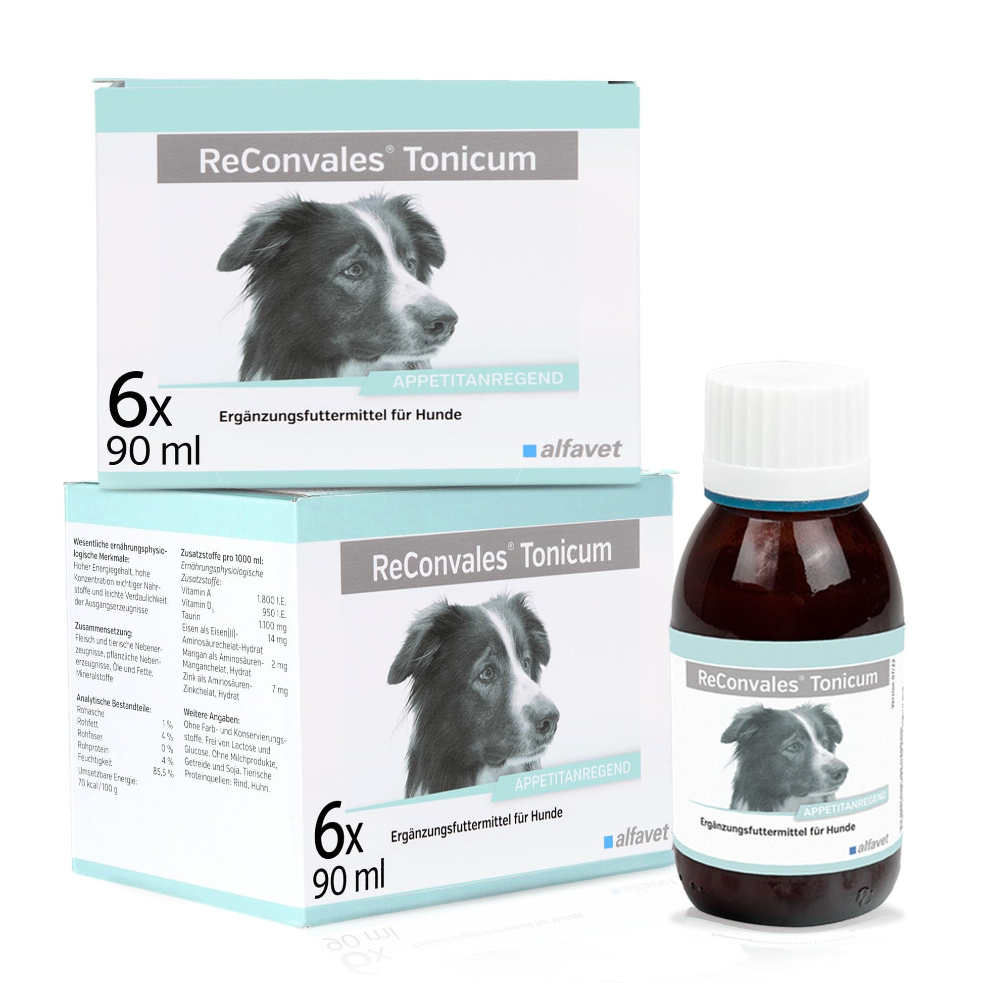 alfavet ReConvales Tonicum Hund - Doppelpack 2x6x90ml. Braunes, flüssiges Ergänzungsfuttermittel. Fördert Rekonvaleszenz und Appetit von Hunden.