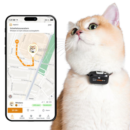 Pawfit Lite GPS-Tracker für Katzen, 4G Echtzeit-Tracking, schwarz – kompaktes Gehäuse mit Sicherheits-Halsband