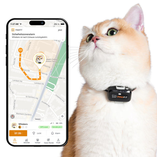 Pawfit Lite GPS-Tracker für Katzen, 4G Echtzeit-Tracking, schwarz – kompaktes Gehäuse mit Sicherheits-Halsband