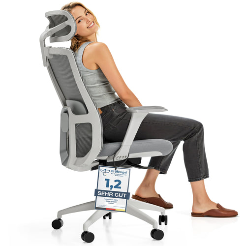 Desktronic SitOne Ergonomischer Bürostuhl mit Lendenwirbelstütze – Grau. Ideal für langes Arbeiten am Schreibtisch.