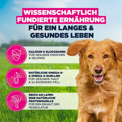 Eukanuba Trockenfutter mit Lamm und Reis für grosse Rassen 12 kg