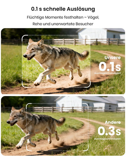 Misstech Solar-Wildkamera 4K 64MP mit Handyübertragung und Nachtsicht