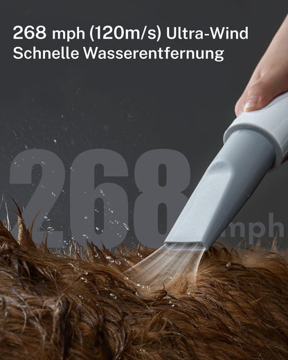 HomeRunPet PD10 Hundefön, Hundetrockner, 43 dB, 120 m/s, 3 Düsen