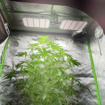 FRGROW LED Pflanzenlampe 65W dimmbar, 6000 Lumen Vollspektrum