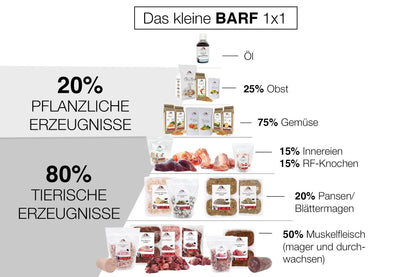 Tackenberg Barf Menü Rindfleisch mit Gemüse, Hundefutter, 14 x 500 g