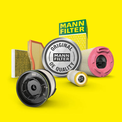 MANN-FILTER C 29 035-2 Luftfilter PKW Transporter - 2er Set