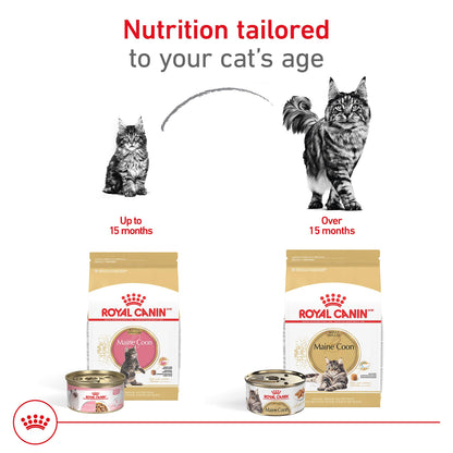 Royal Canin BREED HEALTH NUTRITION Maine Coon Trockenfutter - 6-Pound