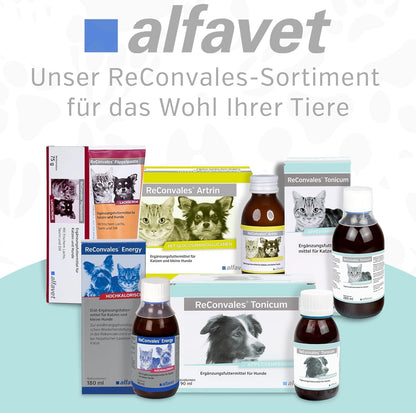 alfavet ReConvales Tonicum Hund - Doppelpack 2x6x90ml