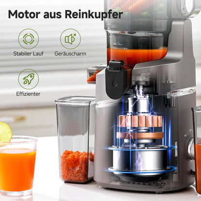 AMZCHEF Entsafter Slow Juicer XXL Öffnung - Grau