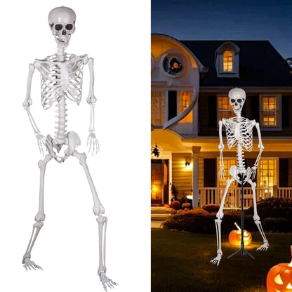 Halloween Plastikskelett Ganzkörper – Bewegliche Gelenke 240cm: Weißes Kunststoffskelett zur gruseligen Halloween-Dekoration.