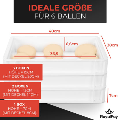 RoyalFay Pizzaballenbox 2er Set Gärbox 30x40x8 cm mit Deckel weiss