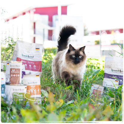 VenandiAnimal Probierpaket Lamm Trockenfutter Katze - 4x 1.5 kg
