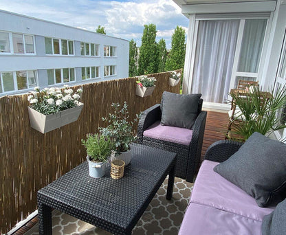 bambus-discount.com Schilfmatte bambussi 180 x 500 cm Sichtschutz