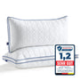 BedStory Kopfkissen 40x80 Mikrofaser 2er Set höhenverstellbar. Rechteckige, weiße Mikrofaser-Kissen für Betten, höhenverstellbar zur optimalen Kopfunterstützung.